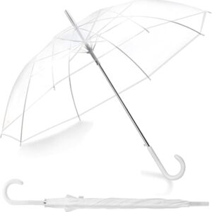 transparent umbrella