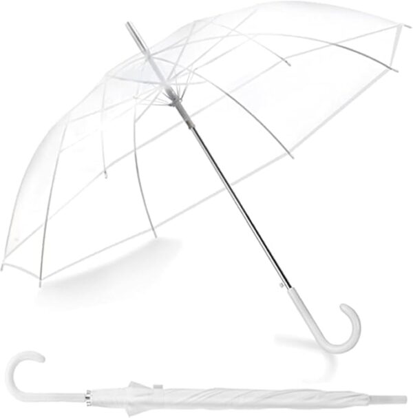 transparent umbrella